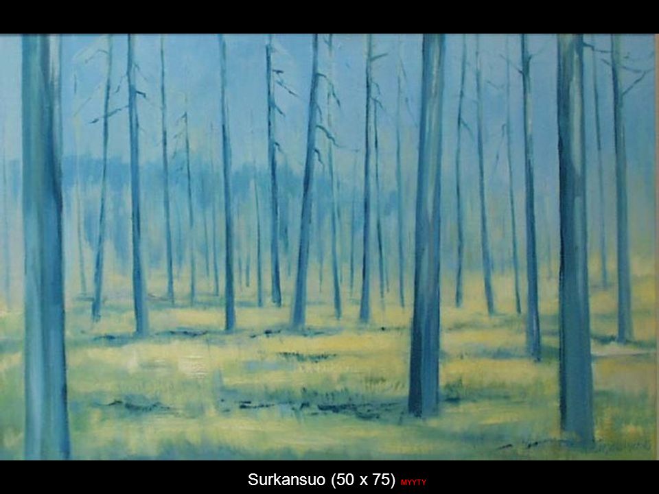 Surkansuo (50 x 75) MYYTY