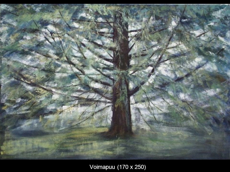 Voimapuu (170 x 250)