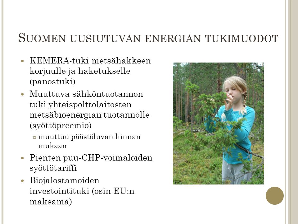 Suomen uusiutuvan energian tukimuodot