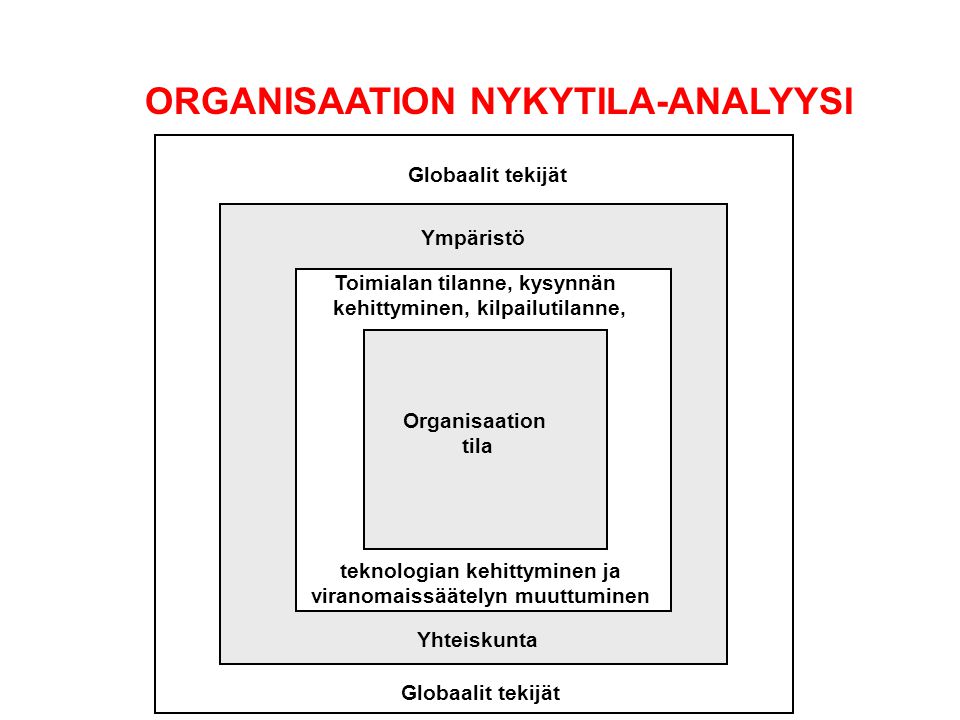 ORGANISAATION NYKYTILA-ANALYYSI