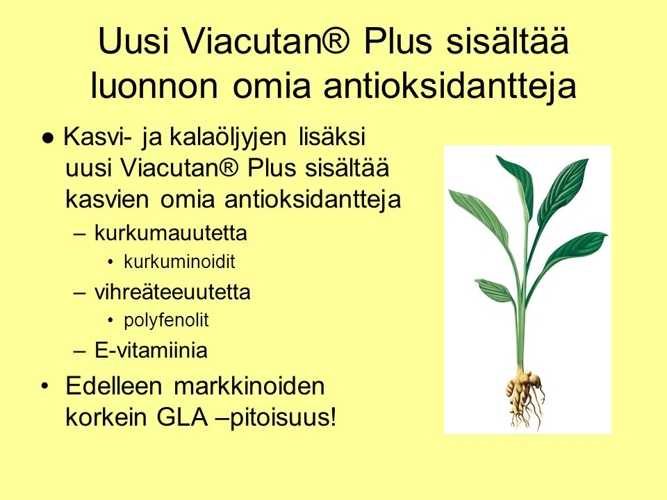 Uusi Viacutan® Plus sisältää luonnon omia antioksidantteja