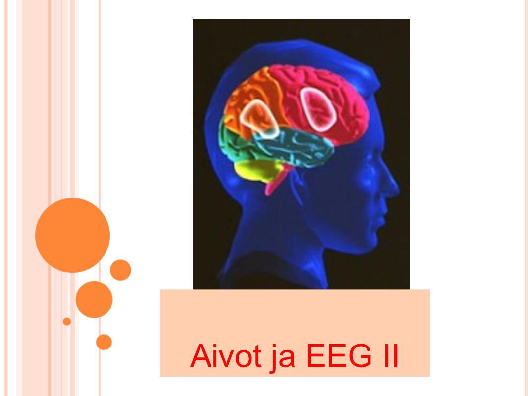 Aivot ja EEG II