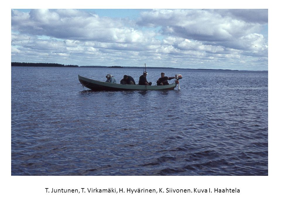 T. Juntunen, T. Virkamäki, H. Hyvärinen, K. Siivonen. Kuva I. Haahtela