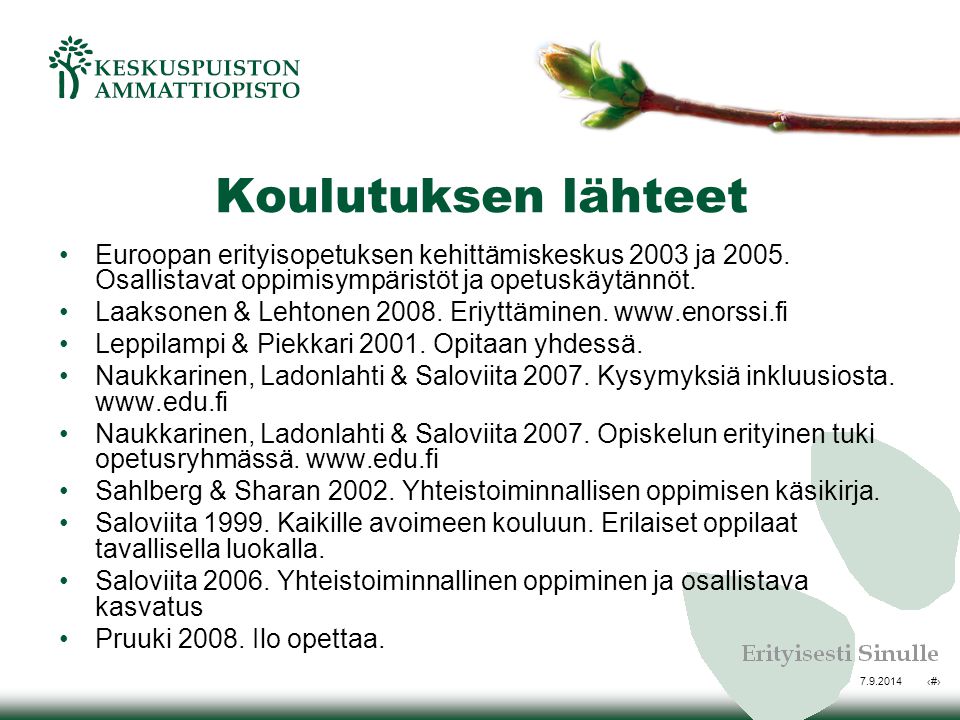 Koulutuksen lähteet Euroopan erityisopetuksen kehittämiskeskus 2003 ja Osallistavat oppimisympäristöt ja opetuskäytännöt.