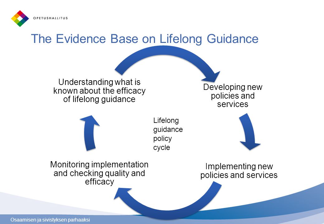 The Evidence Base on Lifelong Guidance