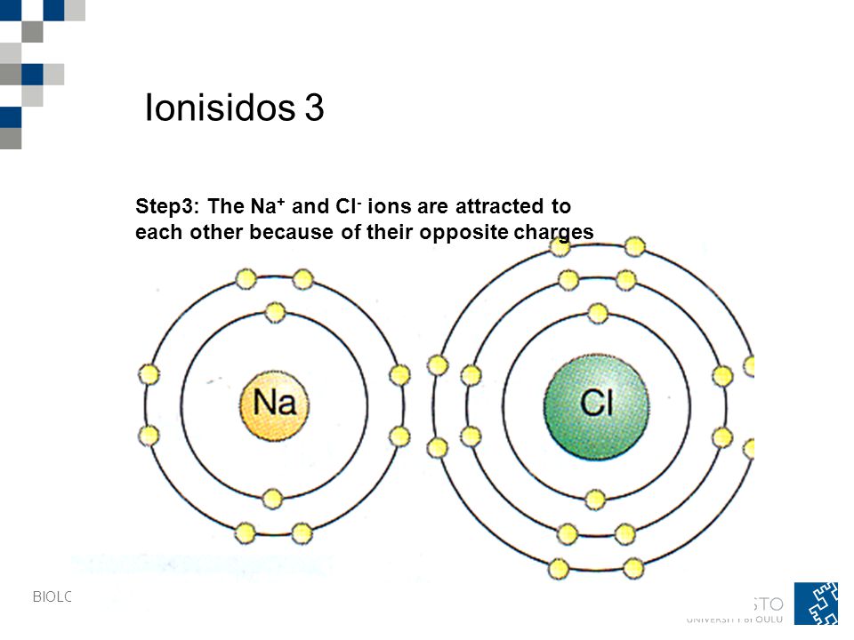 Ionisidos 3 Step3: The Na+ and Cl- ions are attracted to