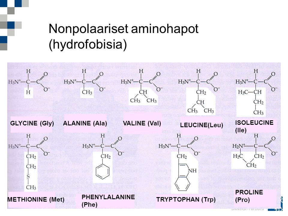 Nonpolaariset aminohapot (hydrofobisia)