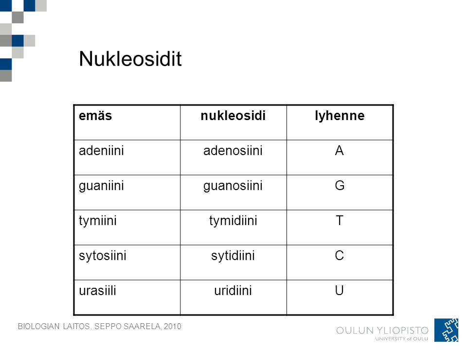 Nukleosidit emäs nukleosidi lyhenne adeniini adenosiini A guaniini