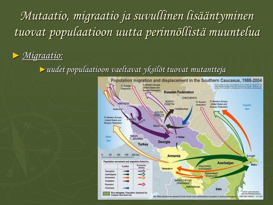 Mutaatio, migraatio ja suvullinen lisääntyminen tuovat populaatioon uutta perinnöllistä muuntelua