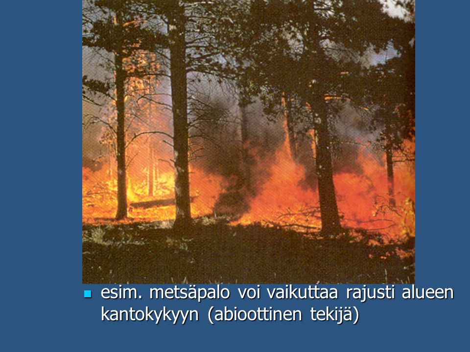 esim. metsäpalo voi vaikuttaa rajusti alueen kantokykyyn (abioottinen tekijä)