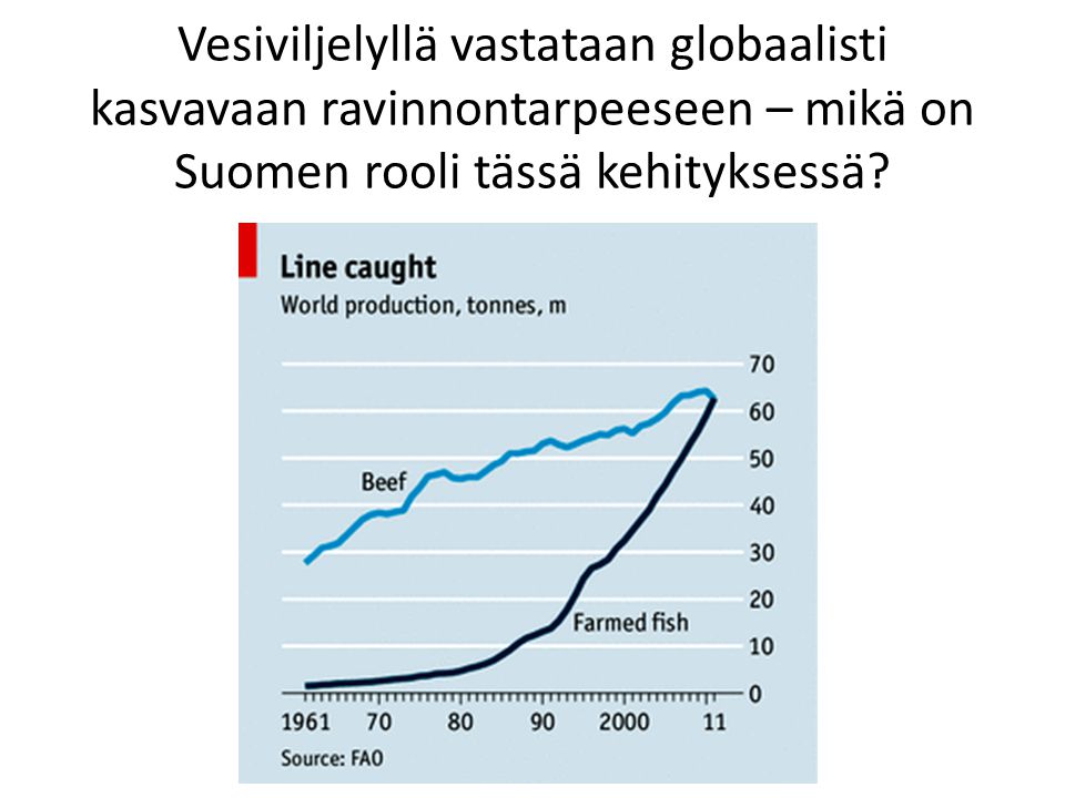 Vesiviljelyllä vastataan globaalisti kasvavaan ravinnontarpeeseen – mikä on Suomen rooli tässä kehityksessä