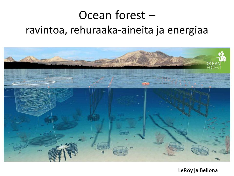 Ocean forest – ravintoa, rehuraaka-aineita ja energiaa