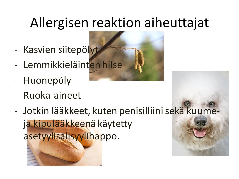 Allergisen reaktion aiheuttajat