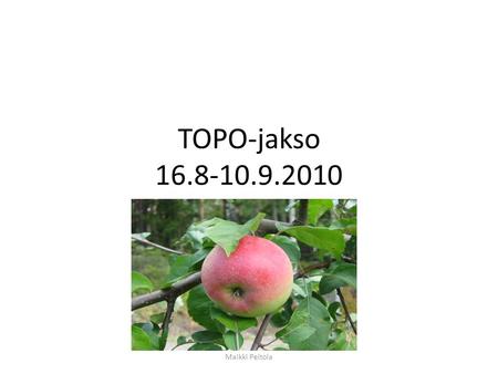 TOPO-jakso 16.8-10.9.2010 Maikki Peltola. Lähdeahon omenatila Perustettu vuonna 2000 Pornaisten Laukkosken kylään Omistajat Eila ja Aarto Torvasti, palkattua.