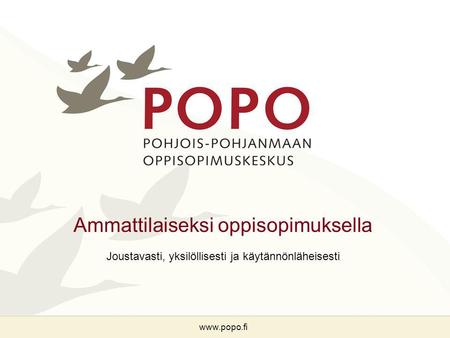 Ammattilaiseksi oppisopimuksella Joustavasti, yksilöllisesti ja käytännönläheisesti www.popo.fi.