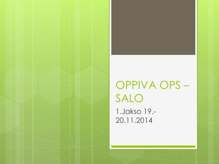OPPIVA OPS –SALO 1.Jakso 19.-20.11.2014.