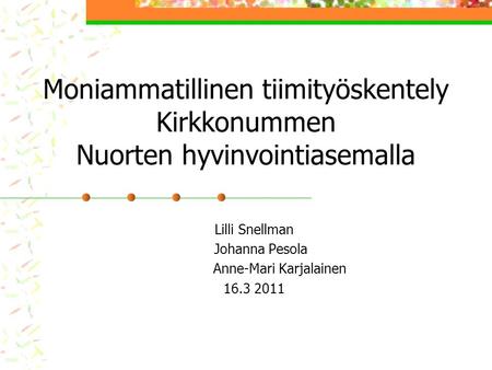 Lilli Snellman Johanna Pesola Anne-Mari Karjalainen