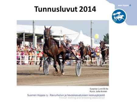 Tunnusluvut 2014 Surprise Lord 09,9a Kuva: Jutta Ikonen.