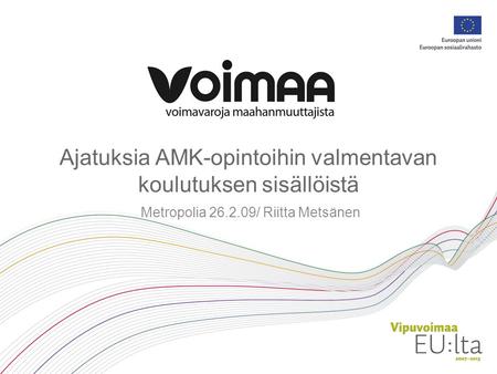 Ajatuksia AMK-opintoihin valmentavan koulutuksen sisällöistä Metropolia 26.2.09/ Riitta Metsänen.