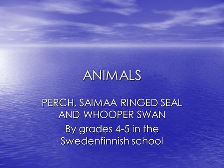 ANIMALS PERCH, SAIMAA RINGED SEAL AND WHOOPER SWAN By grades 4-5 in the Swedenfinnish school.