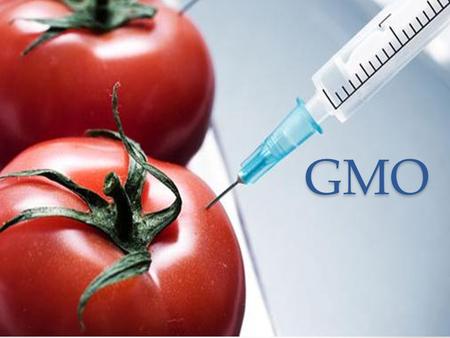 GMO.