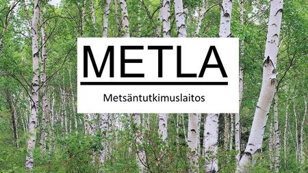 METLA Metsäntutkimuslaitos. Lähimmät toimipisteet ja työllistys Tutkittavaan metsäverkkoon kuluu noin 30000 hehtaaria metsää ja vesistöjä Tutkimusmetsiä.