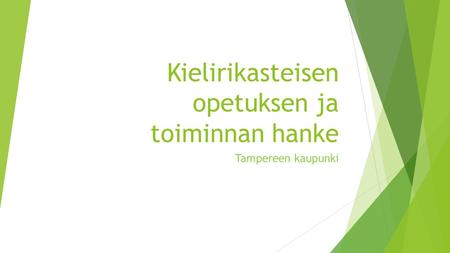 Kielirikasteisen opetuksen ja toiminnan hanke Tampereen kaupunki.