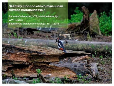 Sääntely luonnon elinvoimaisuuden turvana biotaloudessa? Annukka Valkeapää, VTT, Metsäasiantuntija WWF Suomi Sääntelystä biotalouden edistäjä 19.11.2015.