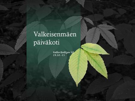 Valkeisenmäen päiväkoti Nella Baltzar 9J 19.10.-15.