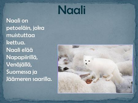 Naali on petoeläin, joka muistuttaa kettua. Naali elää Napapiirillä, Venäjällä, Suomessa ja Jäämeren saarilla.