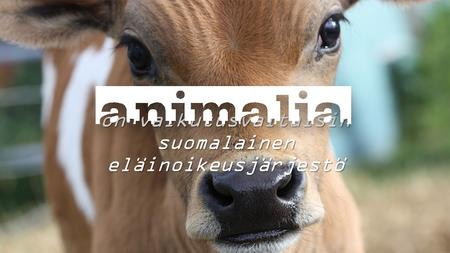 On vaikutusvaltaisin suomalainen eläinoikeusjärjestö.