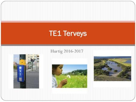 TE1 Terveys Hurtig 2016-2017.