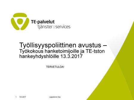 Työllisyyspoliittinen avustus – Työkokous hanketoimijoille ja TE-tston hankeyhdyshlöille 13.3.2017 TERVETULOA! 10.3.2017 Lappalainen Eija.