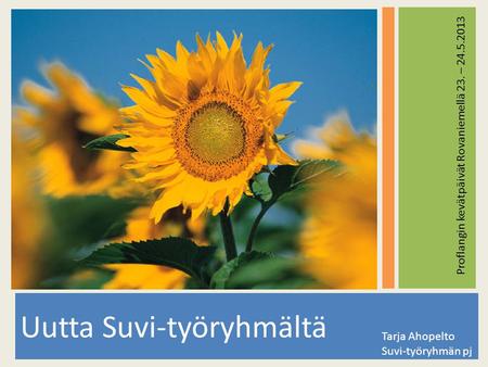 Uutta Suvi-työryhmältä Tarja Ahopelto Suvi-työryhmän pj Proflangin kevätpäivät Rovaniemellä 23. – 24.5.2013.