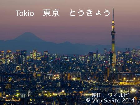 Tokio　東京　とうきょう　 © 芹田　ヴィルピ © VirpiSerita 2014.