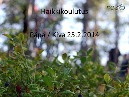 Haikkikoulutus Päpa / Kiva 25.2.2014. ILLAN OHJELMA 25.2.2014Pääkaupunkiseudun Partiolaiset ry2 Kurssin ohjelma: 18 Haikin erilaiset rakenteet ja Haikin.