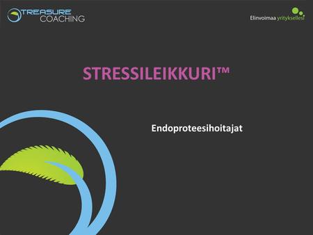 STRESSILEIKKURI™ Endoproteesihoitajat. 29.6.2014 www.elinvoimaayrityksellesi.fi.