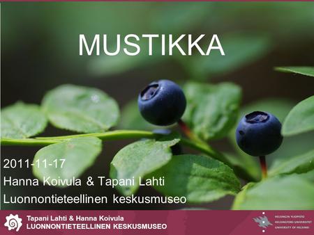 Tapani Lahti & Hanna Koivula LUONNONTIETEELLINEN KESKUSMUSEO MUSTIKKA 2011-11-17 Hanna Koivula & Tapani Lahti Luonnontieteellinen keskusmuseo.