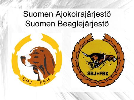 Suomen Ajokoirajärjestö Suomen Beaglejärjestö