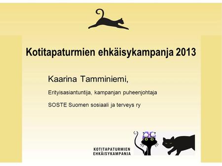 Kotitapaturmien ehkäisykampanja 2013 Kaarina Tamminiemi, Erityisasiantuntija, kampanjan puheenjohtaja SOSTE Suomen sosiaali ja terveys ry.