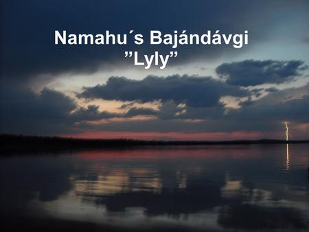 Namahu´s Bajándávgi ”Lyly”. 17.1.2010 Syntyi Lyly Kyllikki, 10 sisaruksen laumaan.