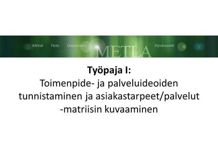 Metsä Tieto Osaaminen Hyvinvointi Työpaja I: Toimenpide- ja palveluideoiden tunnistaminen ja asiakastarpeet/palvelut -matriisin kuvaaminen.