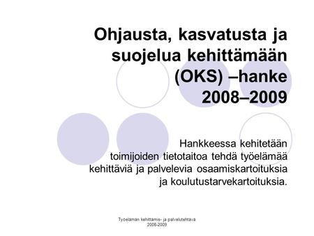 Työelämän kehittämis- ja palvelutehtävä 2008-2009 Ohjausta, kasvatusta ja suojelua kehittämään (OKS) –hanke 2008–2009 Hankkeessa kehitetään toimijoiden.