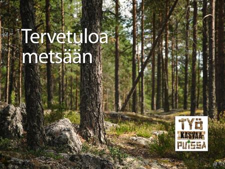 5 asiaa metsästä 1 Suomen tärkein uusiutuva luonnonvara.