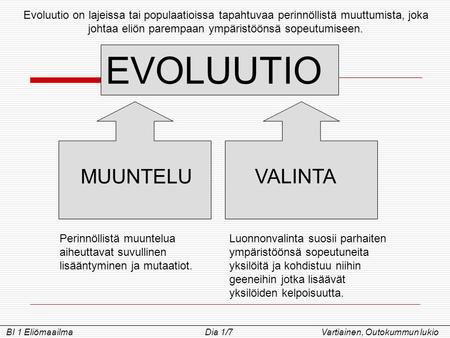 EVOLUUTIO MUUNTELU VALINTA