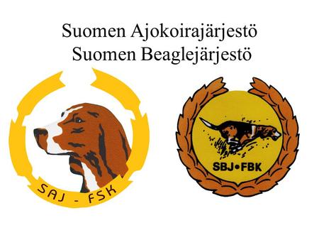 Suomen Ajokoirajärjestö Suomen Beaglejärjestö. Koulutuspaketti 2011 Metsästysinto.
