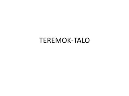TEREMOK-TALO.