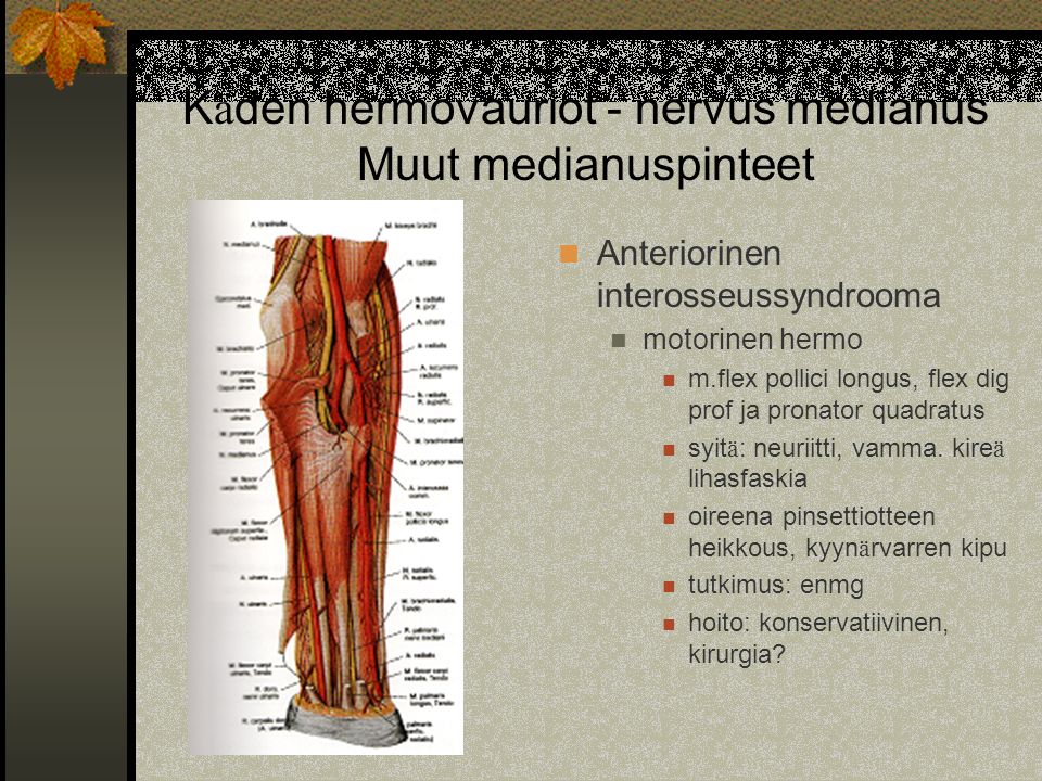 Käden hermovauriot - nervus medianus Muut medianuspinteet