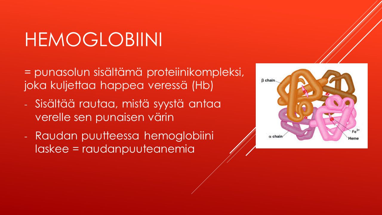 Hemoglobiini = punasolun sisältämä proteiinikompleksi, joka kuljettaa happea veressä (Hb)