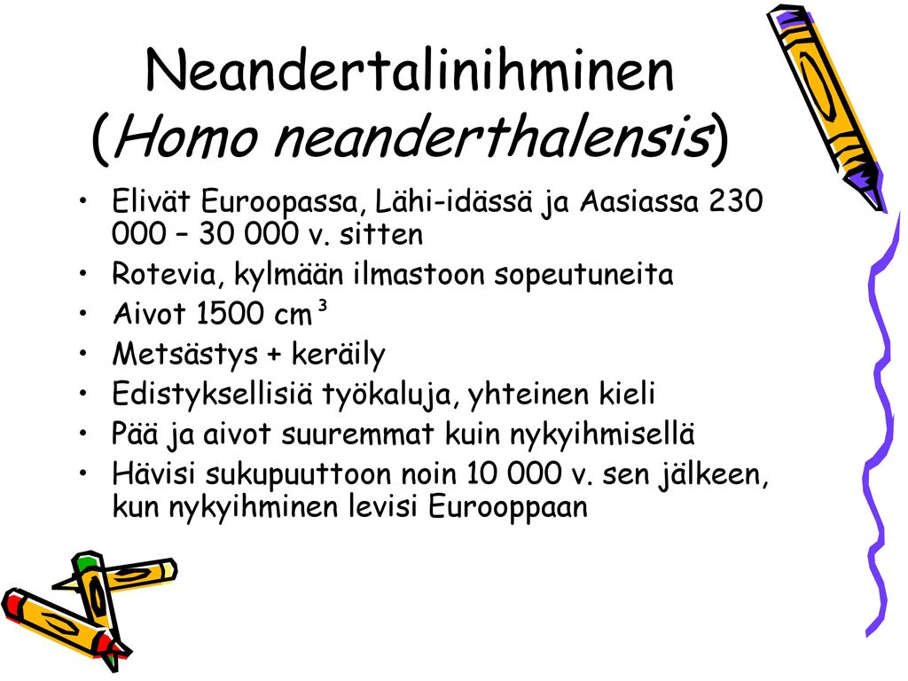 Neandertalinihminen (Homo neanderthalensis)